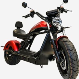 elektroroller e-scooter citytwister 6.0