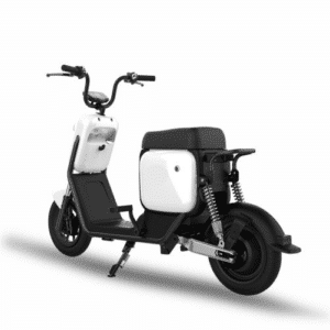 citytwister 1.0 premium elektroroller elektroscooter escooter schweiz